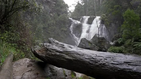 Push In Stevensons Fals Stockbeeldmateriaal 217109194