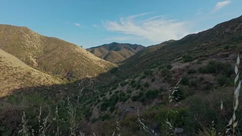 Push through dry grass to view dry california mountains near lake berryessa Stock Footage 303606085
