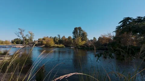 Push through grass on shore of river on a sunny day Stock Footage 301674934