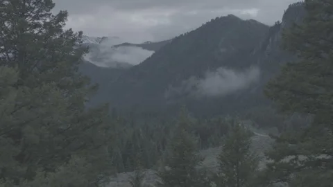 Push Through Trees Reveal Cloudy Mountain Forest Stockbeeldmateriaal 248737219