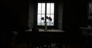 Push In Towards Dark Room With Roses In Vase On Wooden Table In Front Of Stock Footage