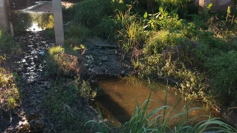Push in to under bridge crime scene Video stock 96346946