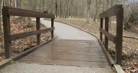 Push - Wood bridge &amp; paved path / Lonely forest Stock Footage 175654660