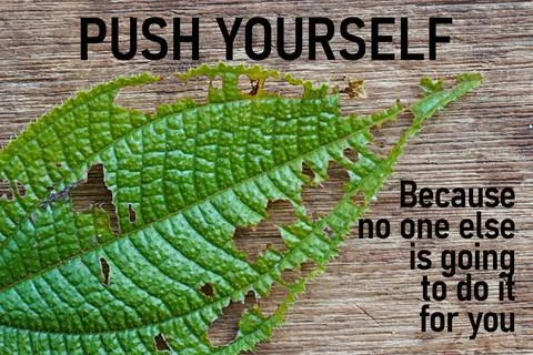 PUSH YOURSELF because no one else is going to do it for you. Motivational quotes Фото