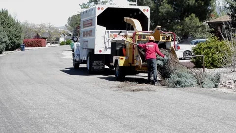 Pushing Branches into the Wood Chipper Stock Footage 248627628