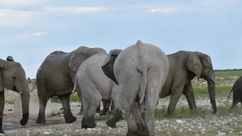 Pushing continues lightly; one individual disengages — Part 12 (Closer) 스톡 동영상 320803471