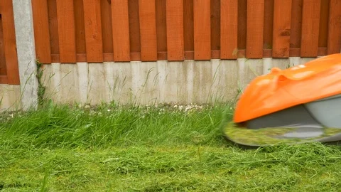 Pushing lawn mower past camera with cable in view Stock-Footage 114995755