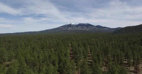 Pushing in over forest toward mountain Video stock 57915755