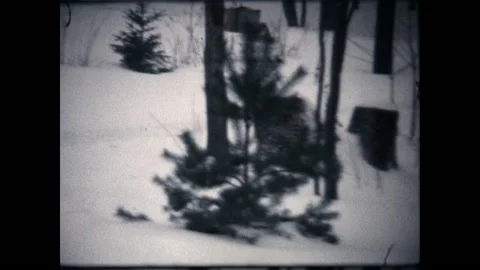 Pushing the Snow Blower 1972 Stock Footage 167232101