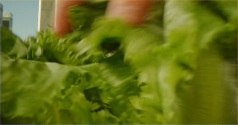 Pushing through composition of fruits and vegetables, sliding over cooking table Stock Footage 126304357