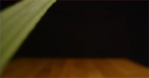 Pushing through grass, isolated Stock Footage 126301233