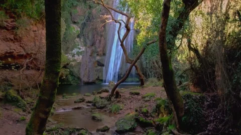 Pushing through lush forest trees towards a tall cascading waterfall Stock Footage 340118477