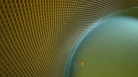 Pushing towards a metal grid where the base is light blue and the grid is Stock Footage 162029447