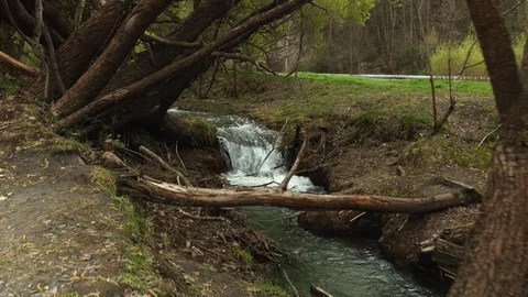 Pushing in towards small waterfall in local river, New Zealand Stock Footage 89866599