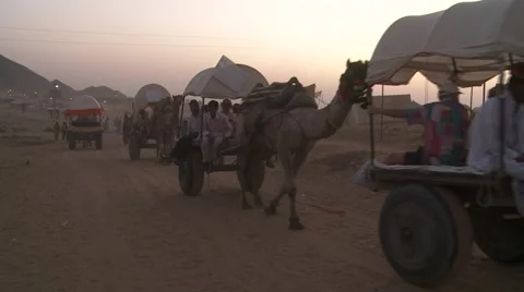 Pushkar camel fair Stock Footage 5088673
