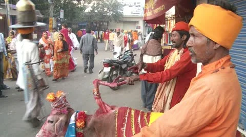 Pushkar camel fair Stock Footage 20430768