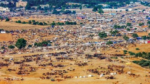 Pushkar Fair, top view. Pushkar, Rajasthan, India. Stock Photos