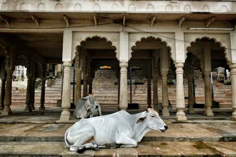Pushkar in Rajasthan, India. Stock Photos