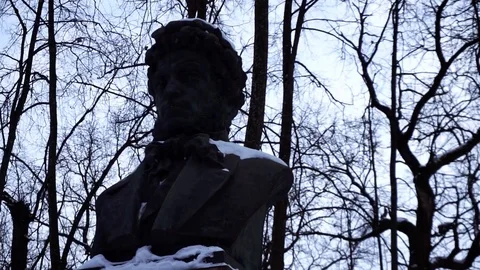 Pushkin Video stock 101062801