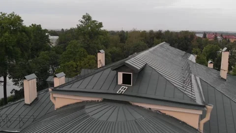 Pushkin wedding palace Stock Footage 146077876