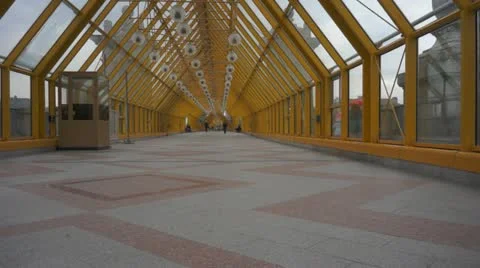Pushkinsky bridge Stock Footage