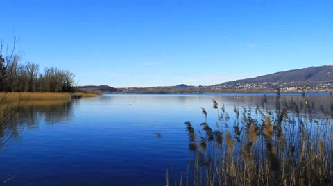 Pusiano lake Vídeos de archivo 35614737