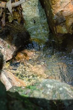 Pusing Waterfalls 写真素材