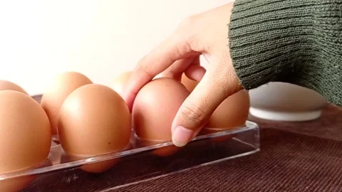Put a chicken egg into an egg holder Stock Footage 145621971