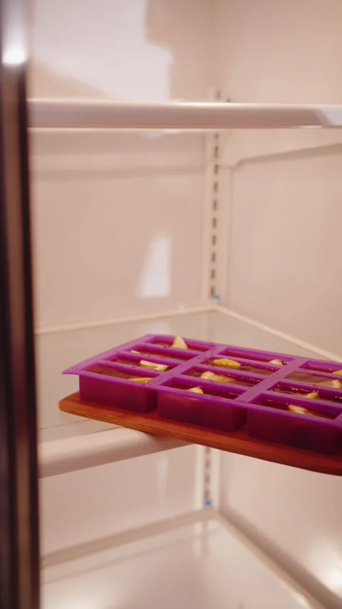 Put the Dish in the Refrigerator Vídeos de archivo 283251889