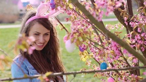 Put Easter eggs in the basket.  Easter eggs on a flowered tree Stock Footage 105439347