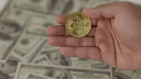  Put a golden Bitcoins on hand with a background of dollars. Close-up bitcoins.  Video stock 152815035
