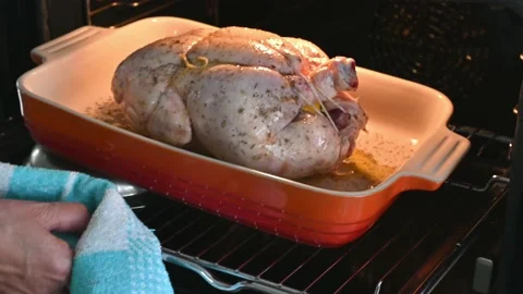 Put it in the oven. Make a delicious roast chicken Stock Footage 217972980