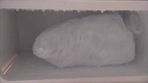 Put a large package of crystal ice in the freezer Stock Footage 294876937