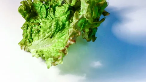 Put the leaves of the lettuce on the slow motion of the video 库存影片 145350022