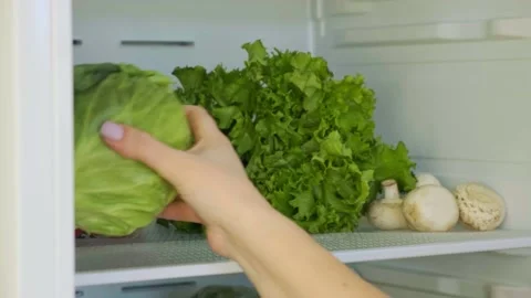 Put one big head of cabbage into the fridge with lettuce, mushrooms and radish Stock Footage 144242796