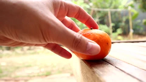 Put oranges on the table Stock Footage 237794336