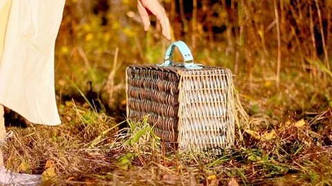 Put picnic box on a ground Stock-Footage 96317488