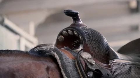 Put the saddle on a horse Stock-Footage 78420096