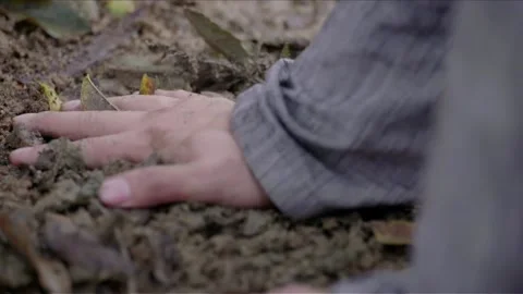 Put stones on the ground Stock Footage 235267637