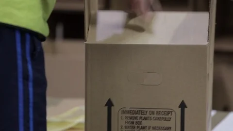 Put tape on a cardboard box Stock Footage 86685024