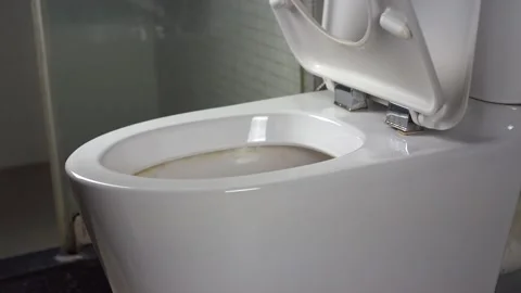 Put toilet lip up before using Stock Footage 102903927