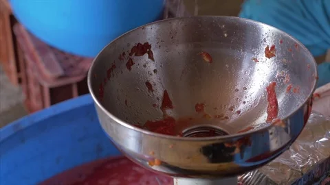 Put tomatoes in the machine - close up Stock Footage 78137185