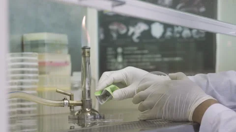 Put white material to glass container Laboratory close up 50fps Stock-Footage 247402998