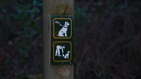 Put your dog on a lead sign  Stock Footage 337130984