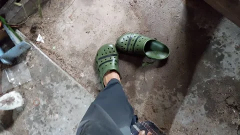 Put on your shoes slowly Stockbeeldmateriaal 292481497