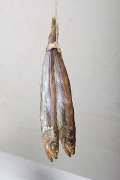 Putassu Cold smoked. Hanging on a string. The fish is wrapped with a strip .. Stock Photos