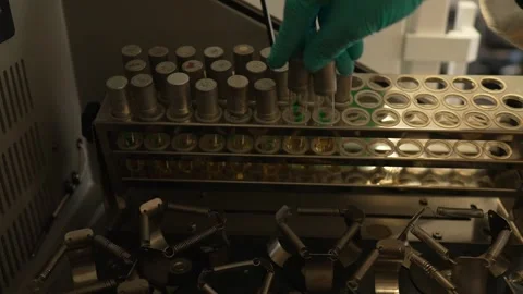 Puting the overnight culture tubes with bacteria into the incubation shaker Stock Footage 263253837