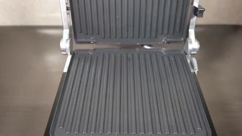 Puting a piece salmon fish on the grid electric grill Stock Footage 143567615