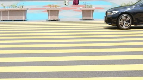 Putrajaya Steps Stock Footage 170710345