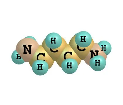 Putrescine molecule isolated on white Stock Illustration